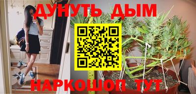 сатива Ивантеевка