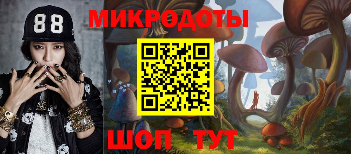 Псилоцибиновые грибы GOLDEN TEACHER  Вход с VPN  Балашиха 