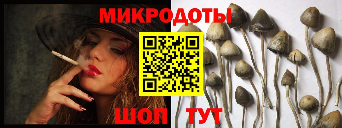 Псилоцибиновые грибы Cubensis Балашиха